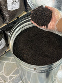 چای ممتاز سرگل بهاره لاهیجان